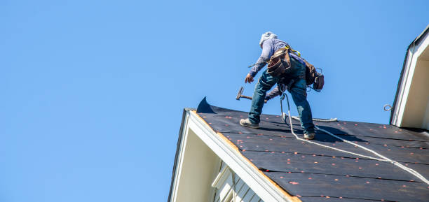 Roof Gutter Cleaning in Rothsville, PA